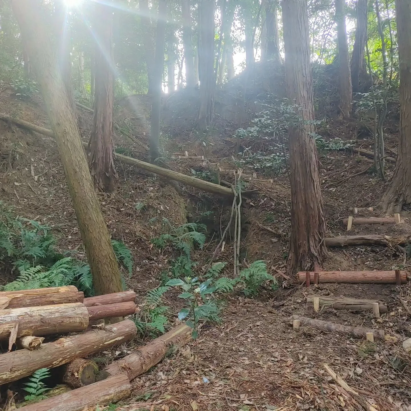 水汲み場